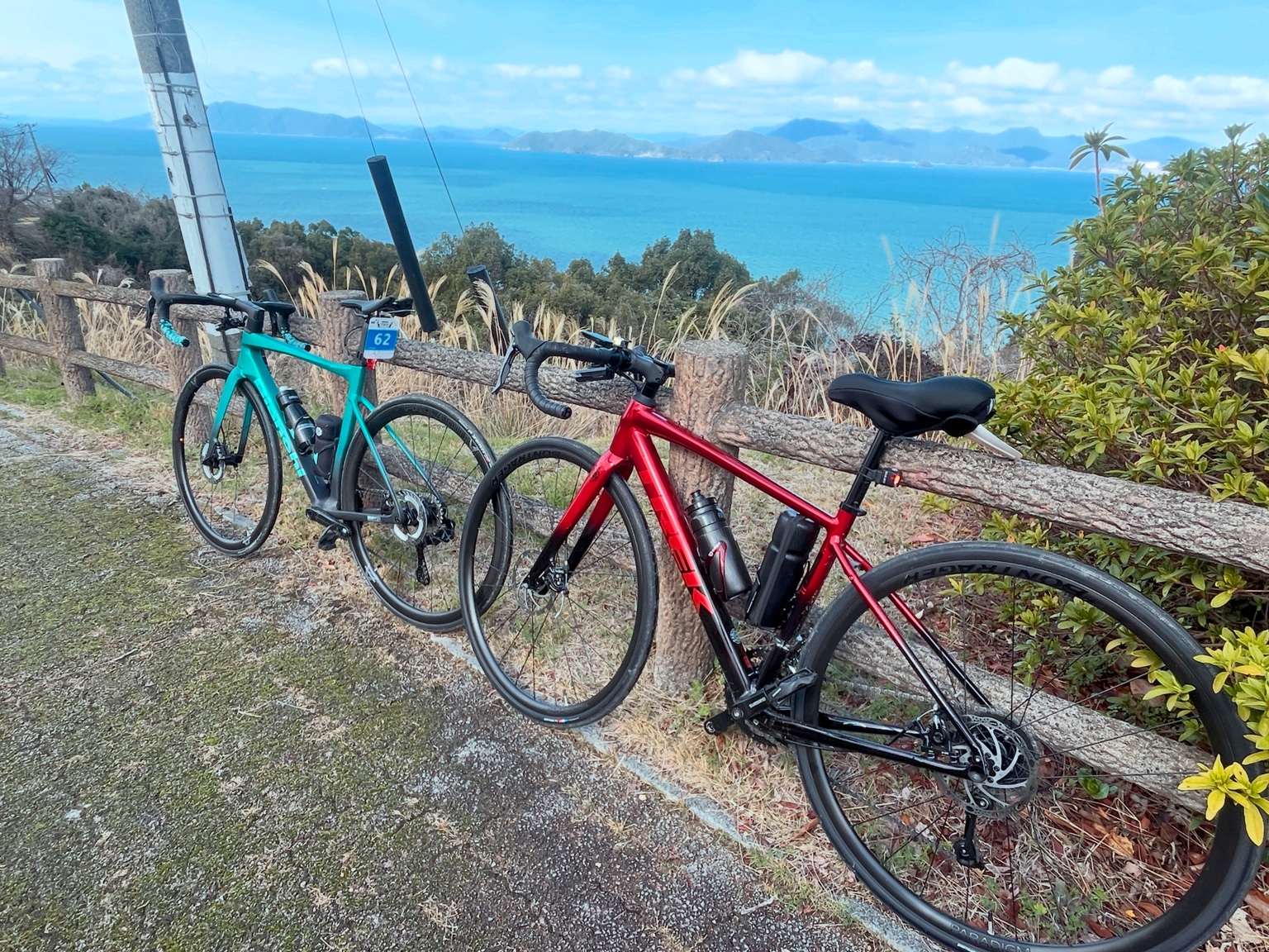 くまもとみなみおれんじシーサイドライドAコースの海を望む自転車