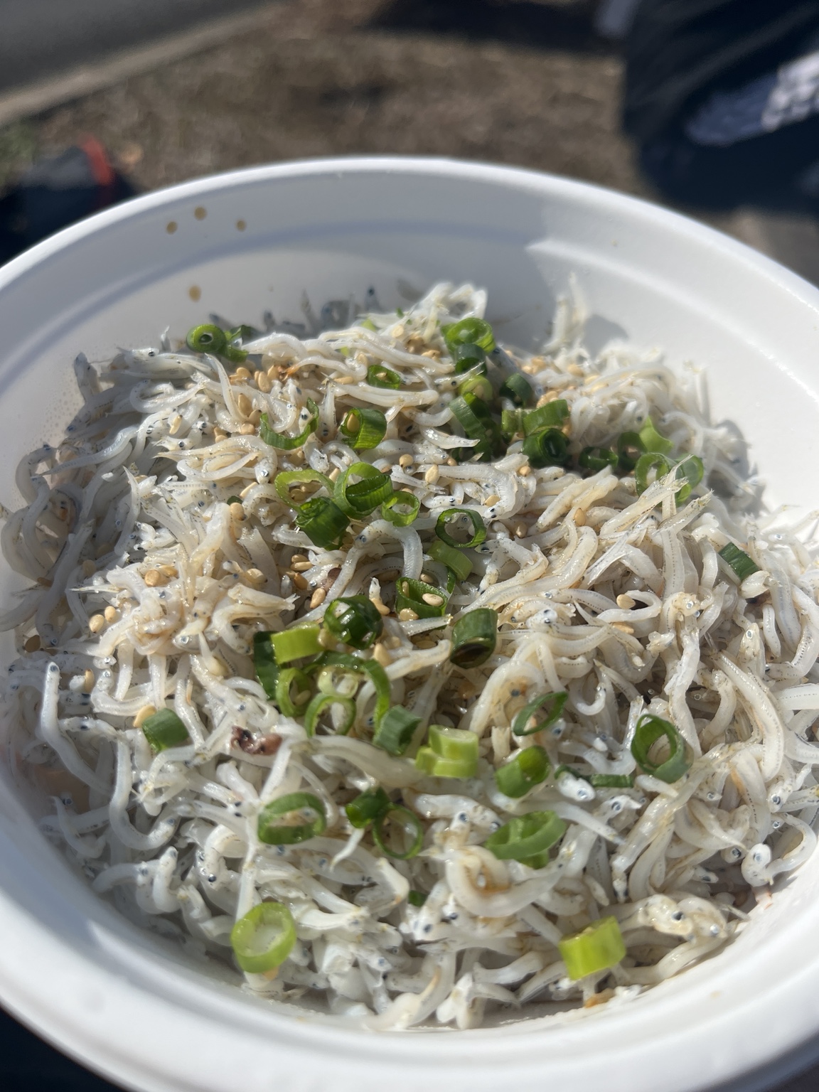 御立岬公園のエイドで食べたしらす丼