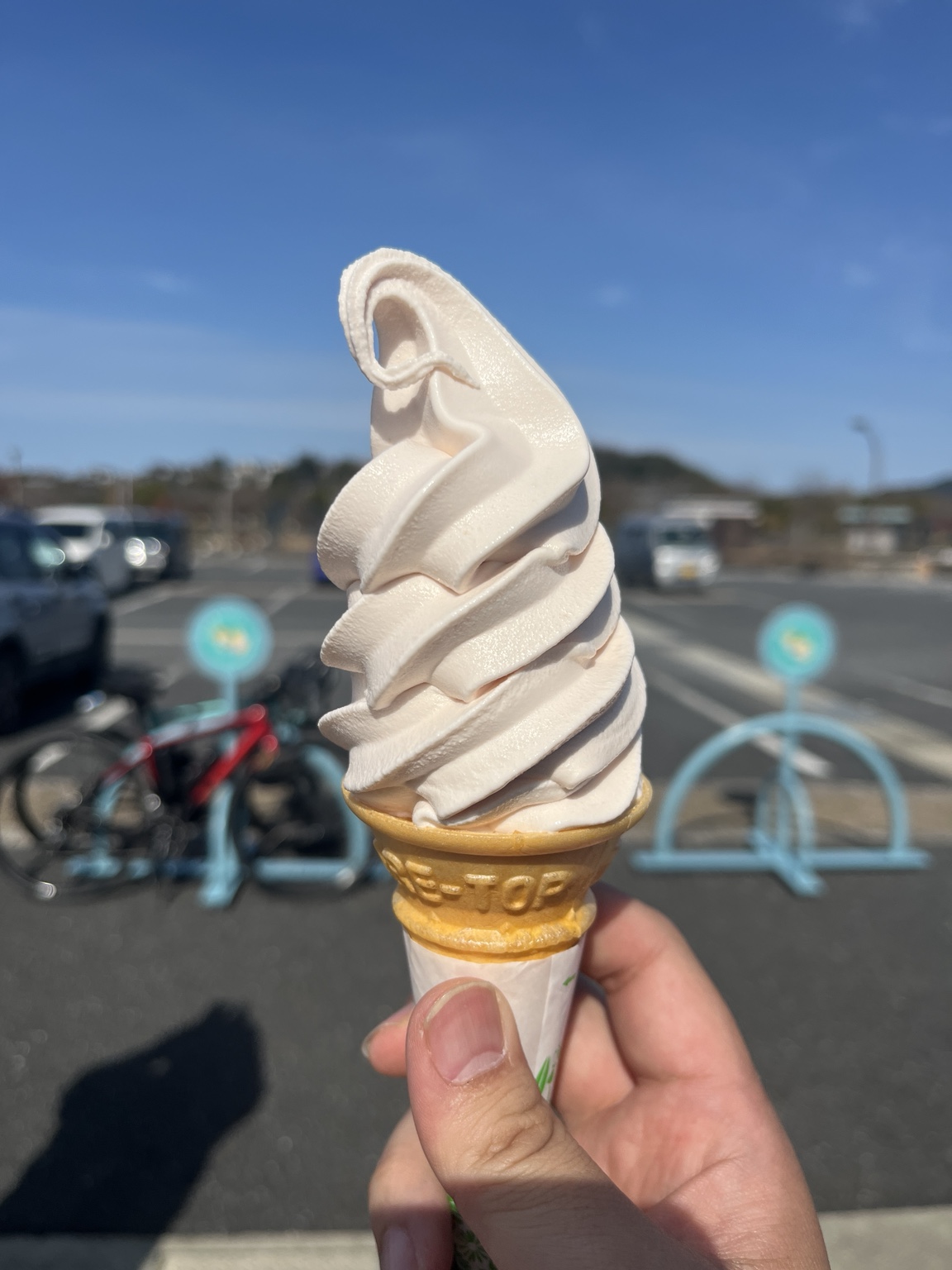 エコパーク水俣で食べたバラソフト