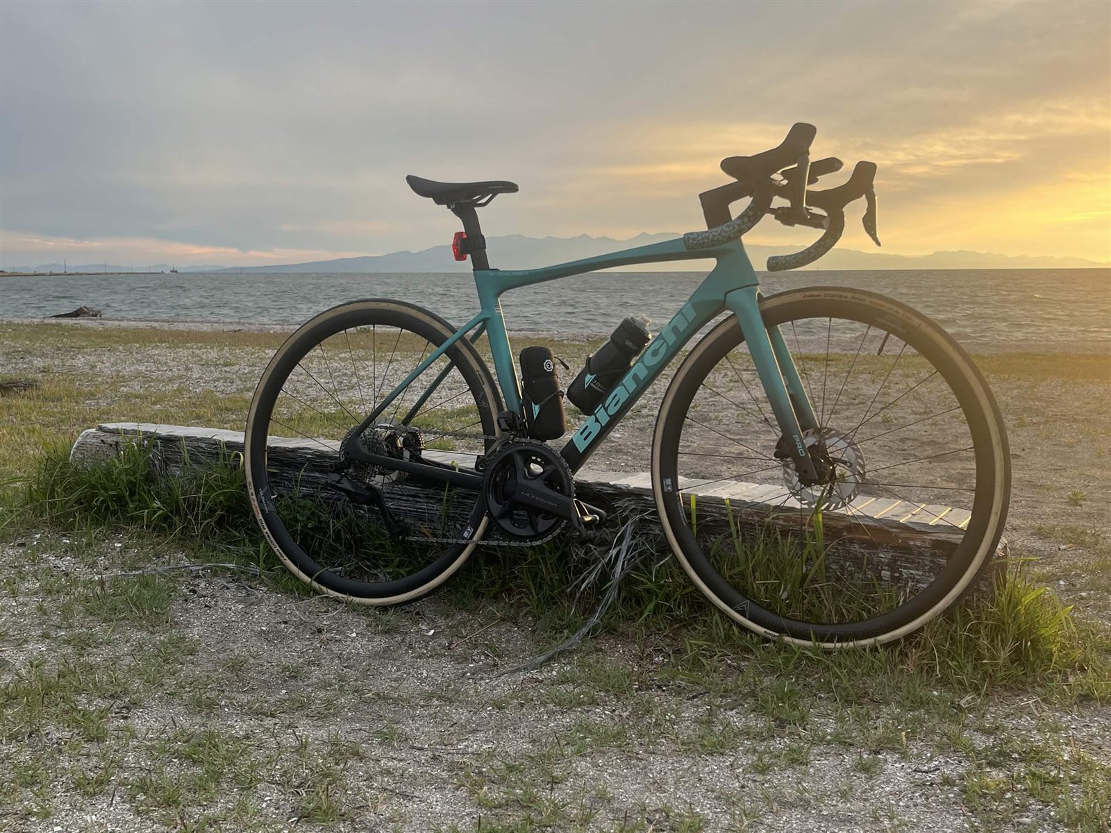 所有しているBianchi SPECIALISSIMA PRO