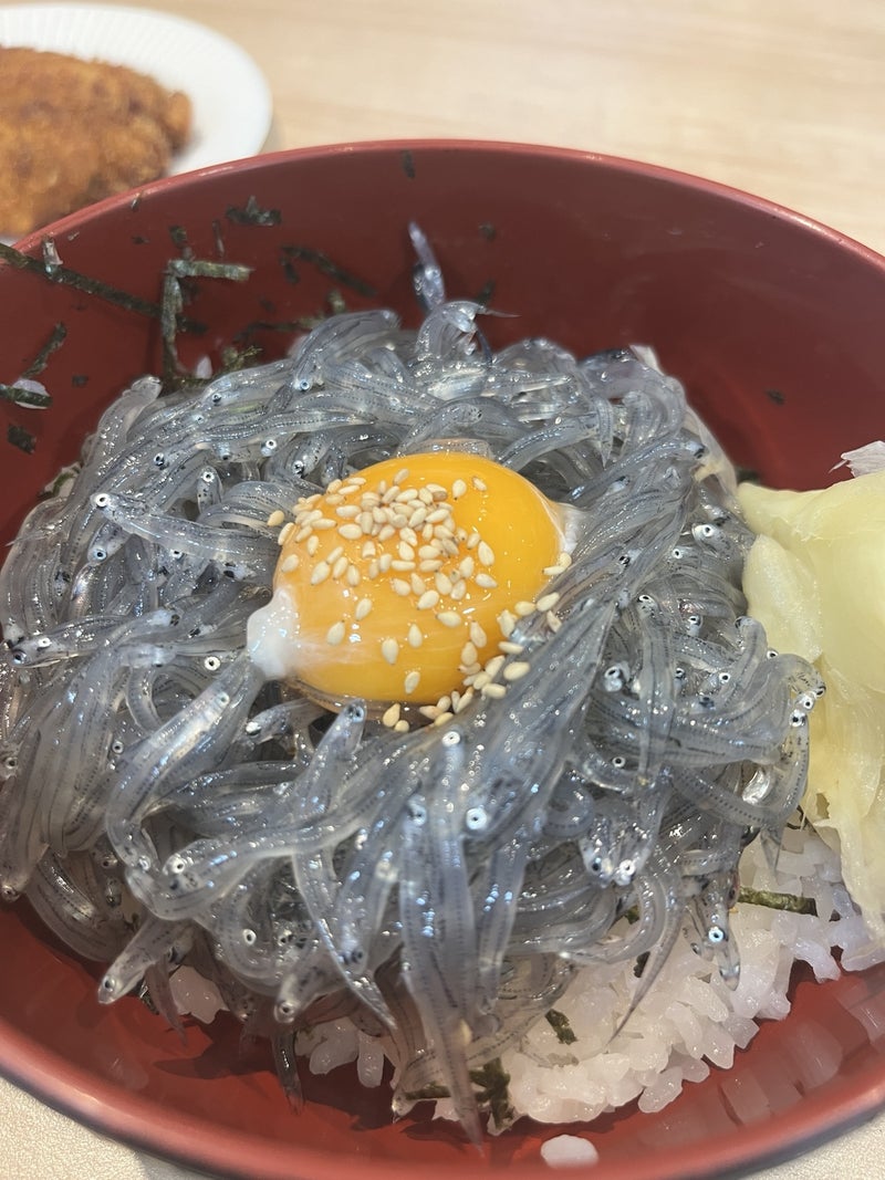 沼津港で食べた生しらす丼